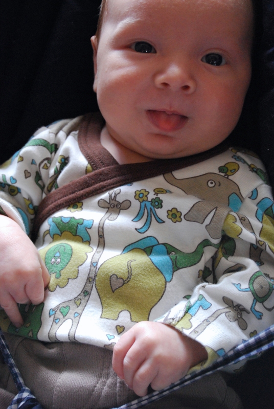 baby bouncer close up 3.jpg